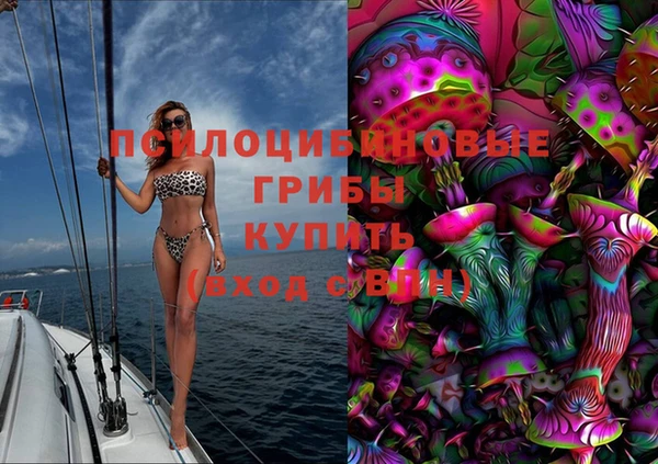 гашик Арсеньев