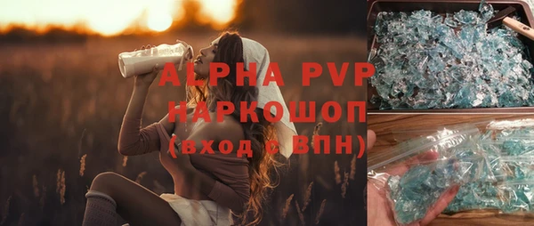 гашик Арсеньев