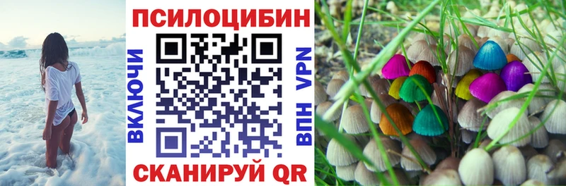 Галлюциногенные грибы ЛСД  цены наркотик  Курганинск 